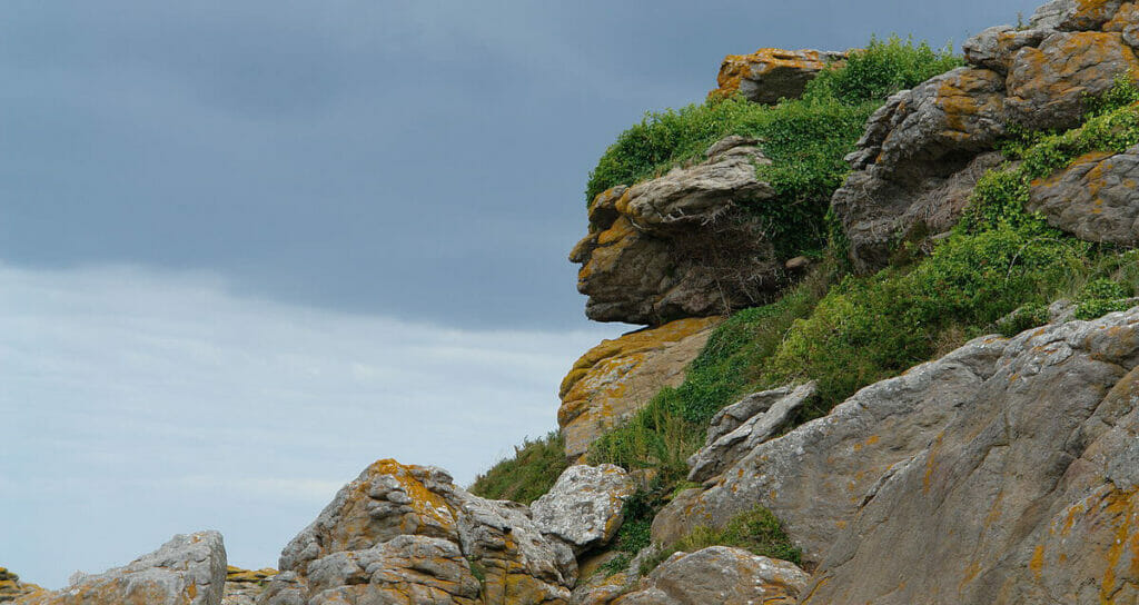 Control is too much of a good thing even on a rocky cliff