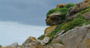 Control is too much of a good thing even on a rocky cliff