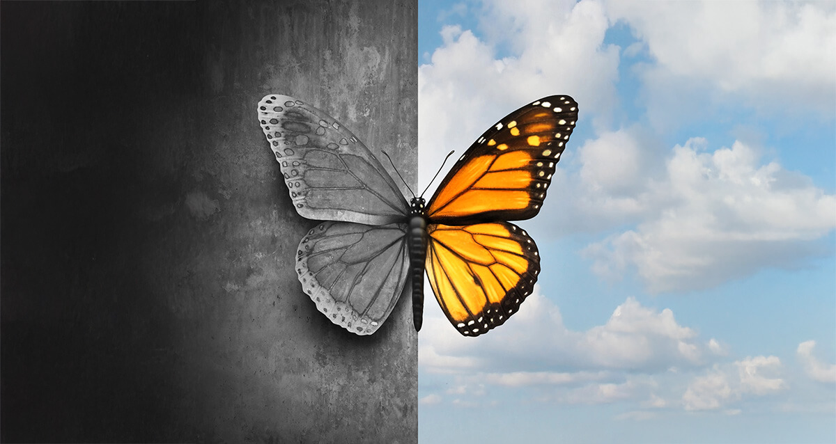 Betrayal butterfly